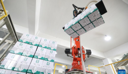 China Focus: Tea exchange nurtures blossoming China-African trade opportunities