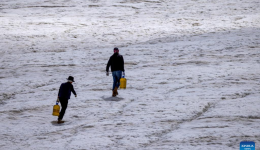 Chinese scientific expedition studies climate impact on Qinghai-Xizang Plateau