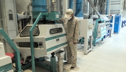 Xizang sees its barley industry thrive