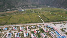 【寻觅西藏·格桑花开】共康村：产业发展话变迁