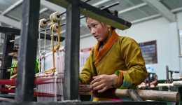 Highland industries drive Xizang's high-quality development