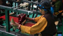 铸牢共同体 中华一家亲｜织梦高原：共富新篇章