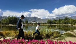 铸牢共同体 中华一家亲丨四个关键字，看民族团结在雪域高原开花结果