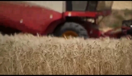 中国农民丰收节  高原处处好“风”光