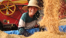 High tech propels bumper harvests in China's grain-producing provinces