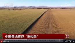 金秋时节处处好“丰”景 中国多地喜迎“丰收季”