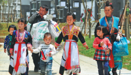 From little seedlings large profits grow