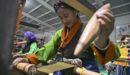 Highland industries drive high-quality development in Xizang's county