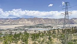 西藏持续推进防沙治沙工作—向“绿”而行 筑牢生态安全屏障