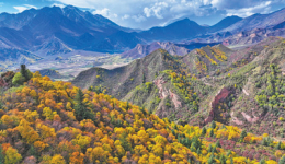 County in NW China's Qinghai advances protection, governance of Heihe River Basin