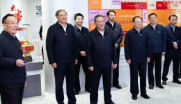 Chinese premier urges efforts to facilitate progress of ecological project, energy supply