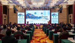 Global experts hail China's commitment to preserving Tibetan medicine