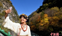 四川马尔康梭磨河峡谷彩林引游人