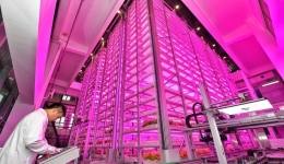 China's manufacturing sector resumes expansion in October on pro-growth measures