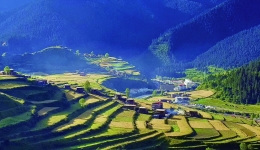 “绿色”班玛 生态净美