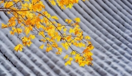 立冬时节养好这个器官很关键，五个秘诀帮你健康入冬→