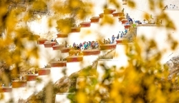 Letter from Lhasa: Xizang revisited -- A fresh narrative