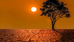 世界气象组织：2024年有望成为有记录以来最热的一年