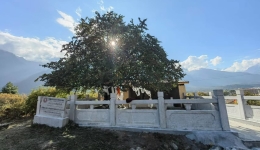 【Into Xizang】Inscriptions on Precipices in Daman Village: Cultural Heritage on the Border between China and Nepal