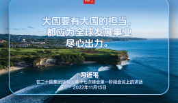 习近平：伙伴精神是二十国集团最宝贵的财富