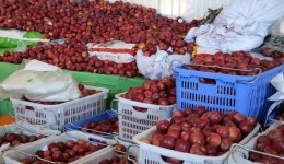 Border city in China's Xizang sends first exports