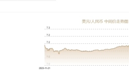 11月19日人民币对美元中间价报7.1911元 下调4个基点