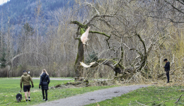 “炸弹气旋”第二场风暴将袭击美国西北地区