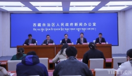 西藏全力推动各项金融增量政策落地见效