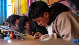 西藏昌都：非遗技艺助增收