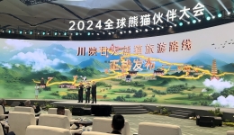 多个活动同时启动 “熊猫伙伴大会”来了