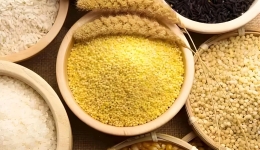 中办、国办印发《粮食节约和反食品浪费行动方案》