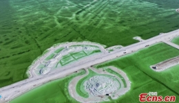 'Giant flower' blooms on salt lake in Qinghai