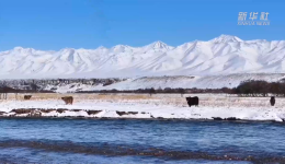 青海门源：雪后初霁 山水如画