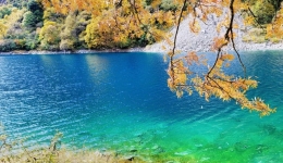 官宣！延长！四川多个景区继续免门票！