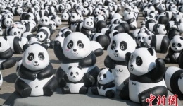 2500只大熊猫雕塑《PANDA GO！香港游》展览亮相在即