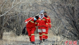 荒漠变绿洲 青海格尔木生态与产业“两山排闼送青来”