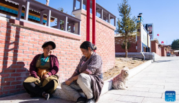 Village in Xizang sees substantial improvement in living condition
