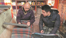 Xizang sees progress in palace protection