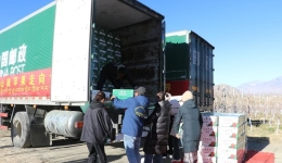 China's Xizang sees robust foreign trade growth