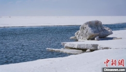 青海湖国家公园创建：提升监测能力 统筹生态保护与经济发展