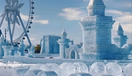 哈尔滨警方打击冰雪大世界“黄牛”破案21起抓获23人