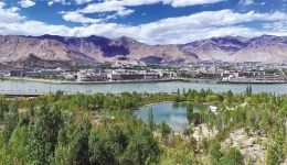 Lhasa achieves over 10,000 hectares of afforestation in 2024