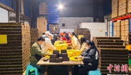 四川雅安：10万斤藏茶驰援西藏日喀则地震震区