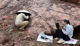 Chinese scientists find world's smallest known sauropod dinosaur footprints