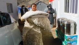 Warm shelters built for all in Xizang's quake zone