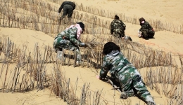 Decades-long efforts turn north China deserts into oases