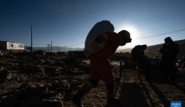 Debris removal and property retrieving efforts in process in quake-hit Xizang