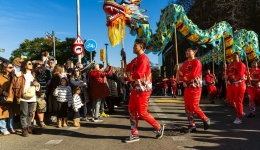 Croatian scholar says Spring Festival culture increasingly popular in Europe