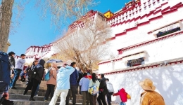 冬游西藏 欢乐过年——总台春晚助推西藏自治区旅游市场人气攀升