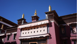 Porcelain Treasures on the Snowy Plateau